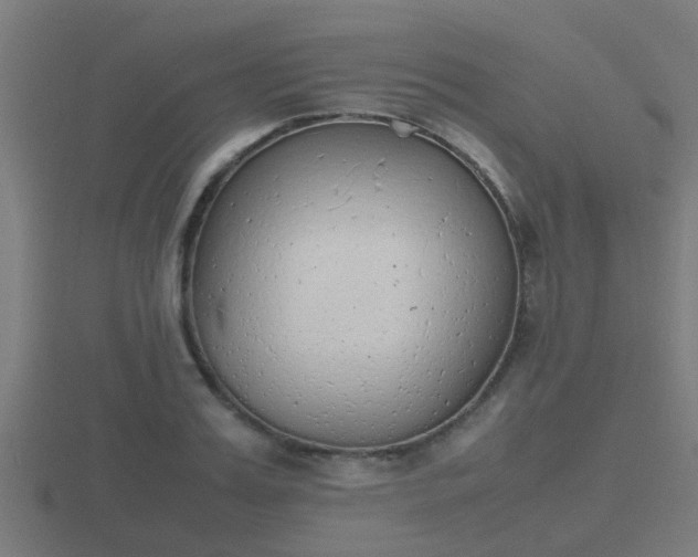 X0000116840987200912241225