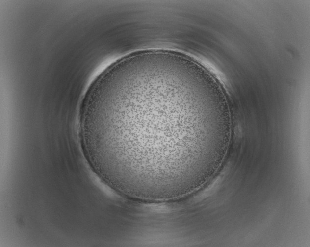 X0000116840990200912241225
