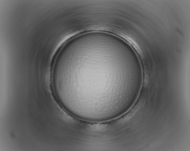 X0000116840992200912241225