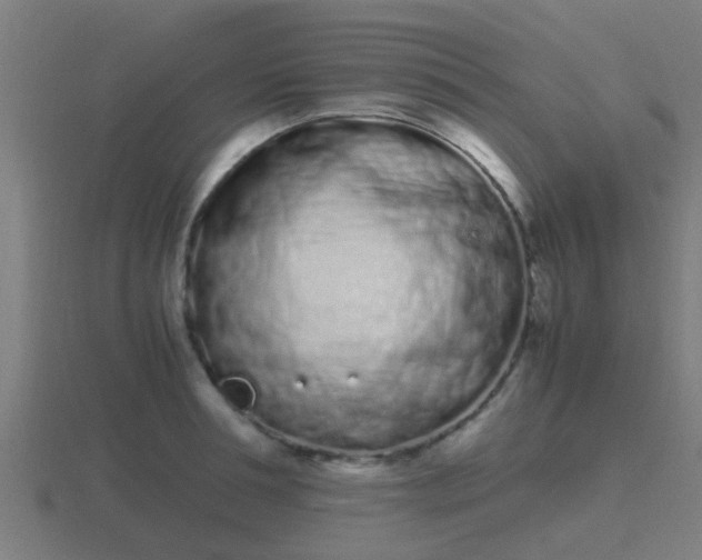 X0000116840994200912241225