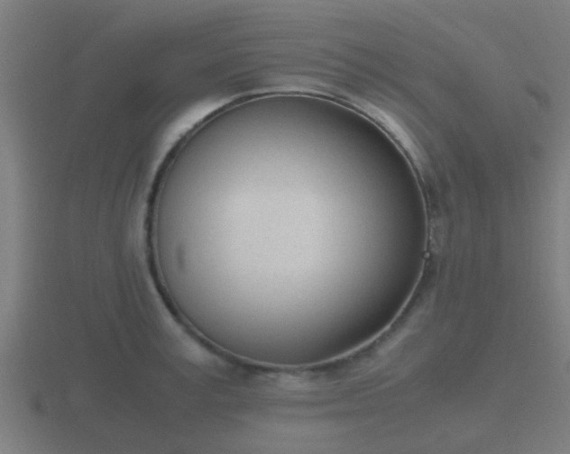 X0000116840995200912241225