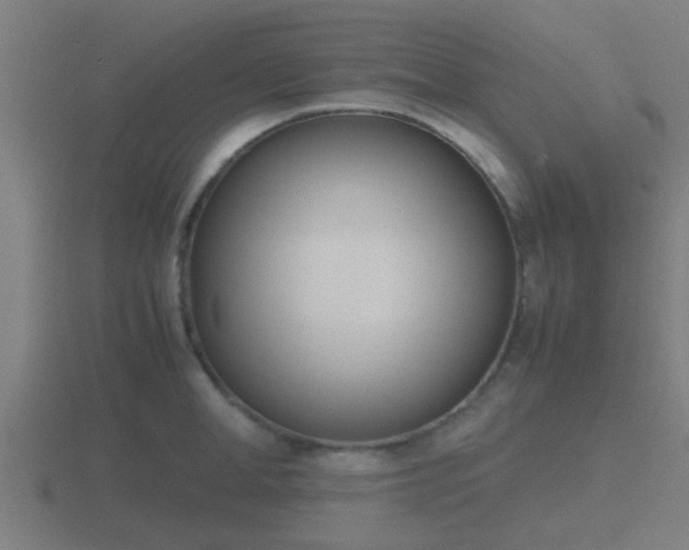X0000116840998200912241225