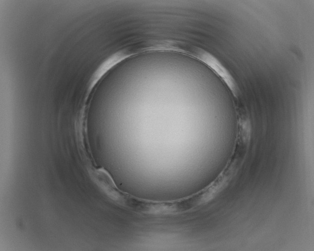 X0000116841002200912241225