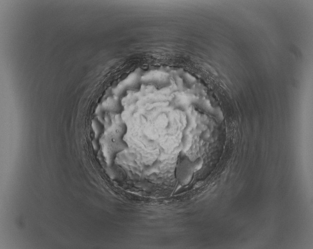 X0000116841009200912241224