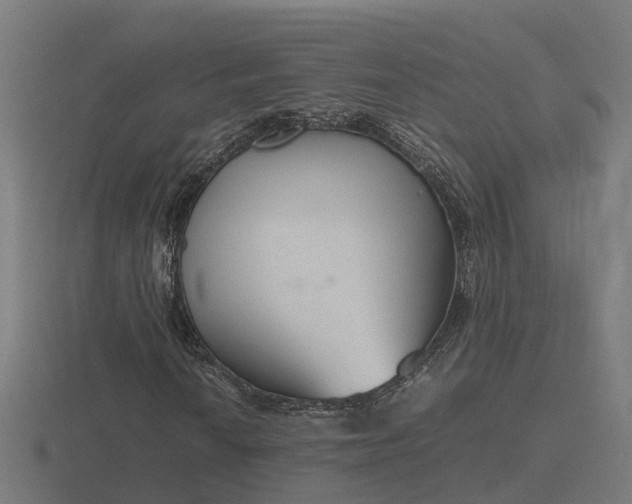 X0000116841010200912241224