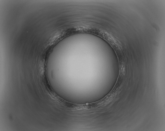 X0000116841012200912241224