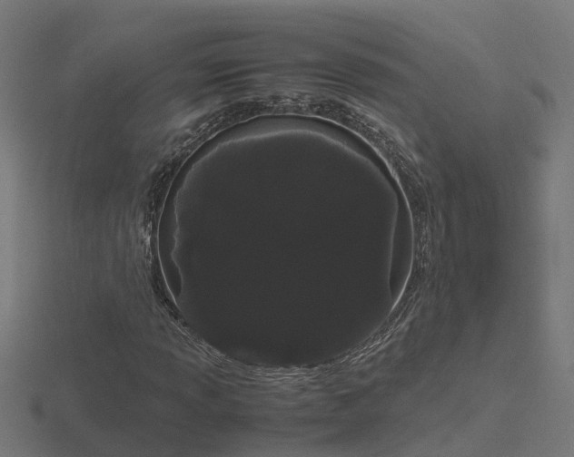 X0000116841013200912241224