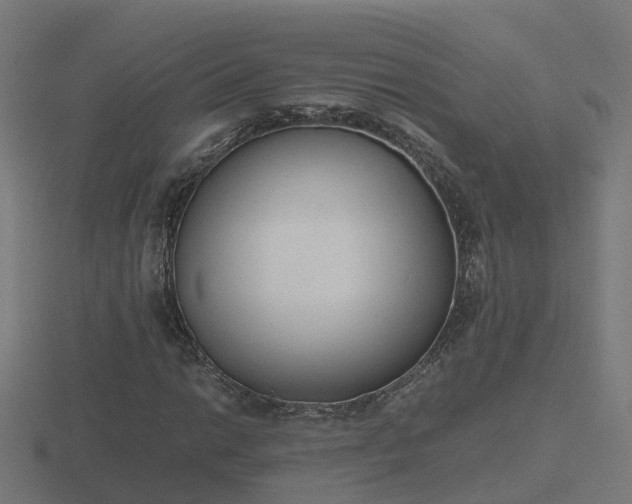 X0000116841014200912241224