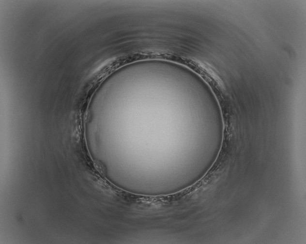 X0000116841015200912241224