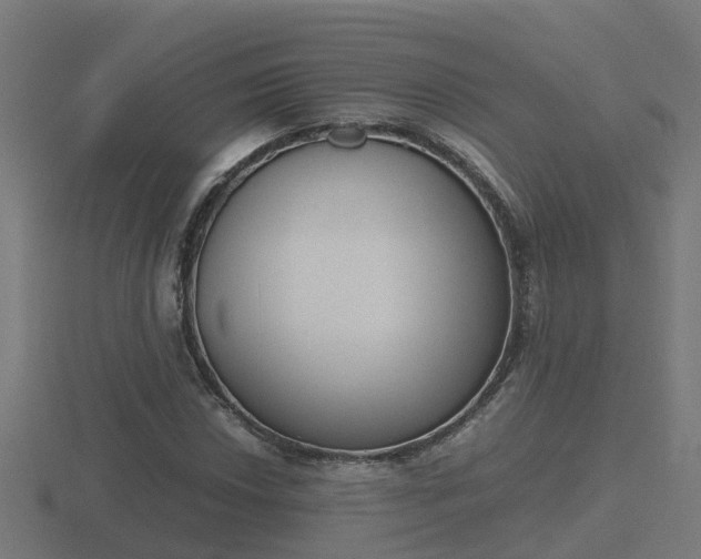 X0000116841018200912241224