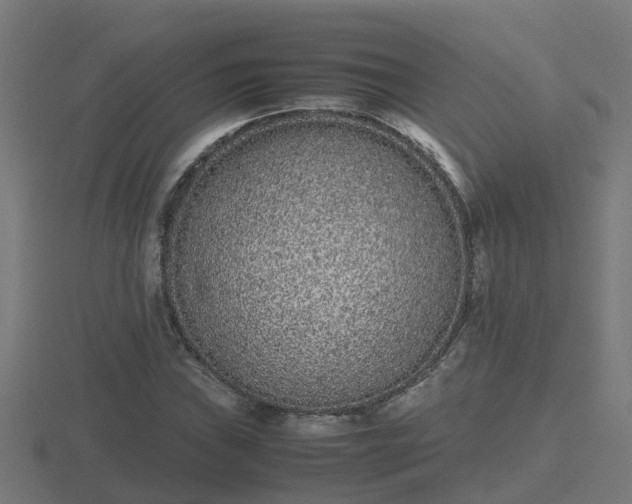 X0000116841019200912241224
