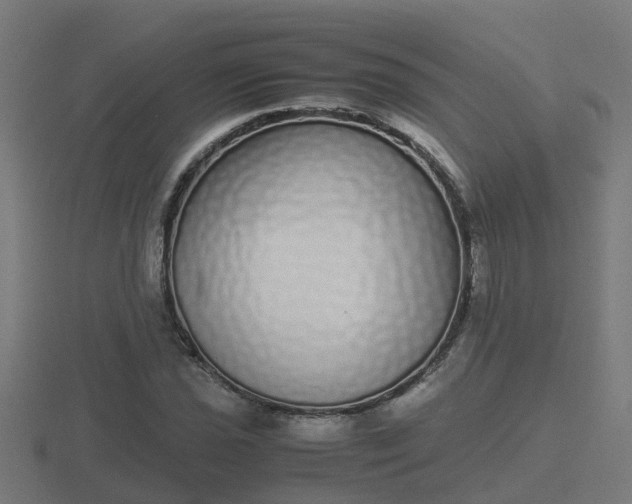 X0000116841021200912241224