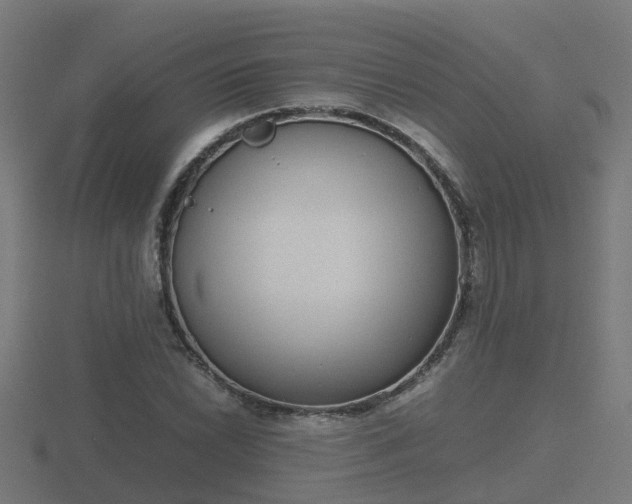 X0000116841022200912241224