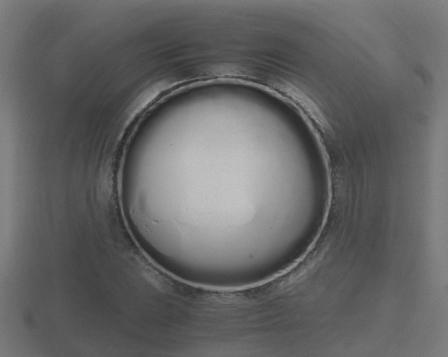X0000116841023200912241224