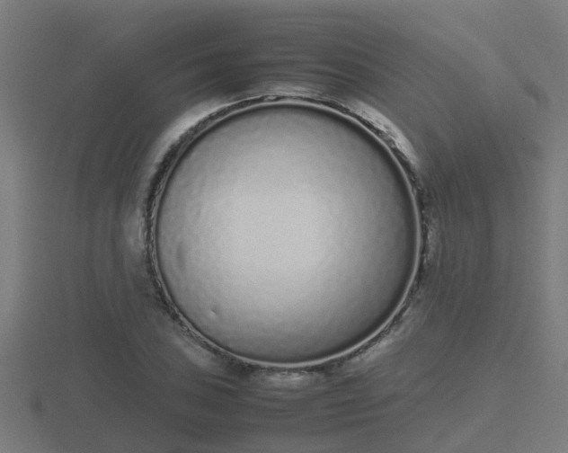 X0000116841027200912241224