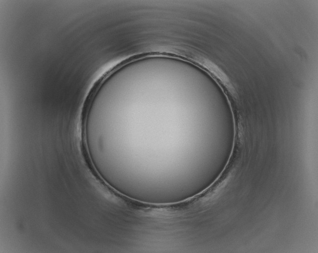 X0000116841028200912241224
