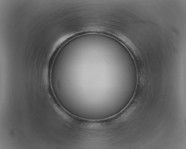 X0000116841030200912241224