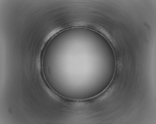 X0000116841034200912241224