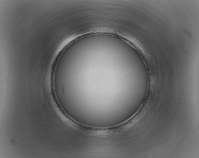 X0000116841038200912241224