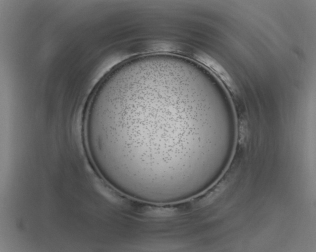 X0000116841039200912241224