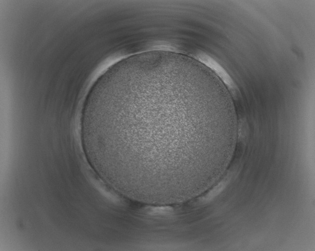 X0000116841043200912241224