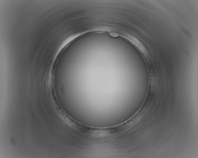 X0000116841044200912241224