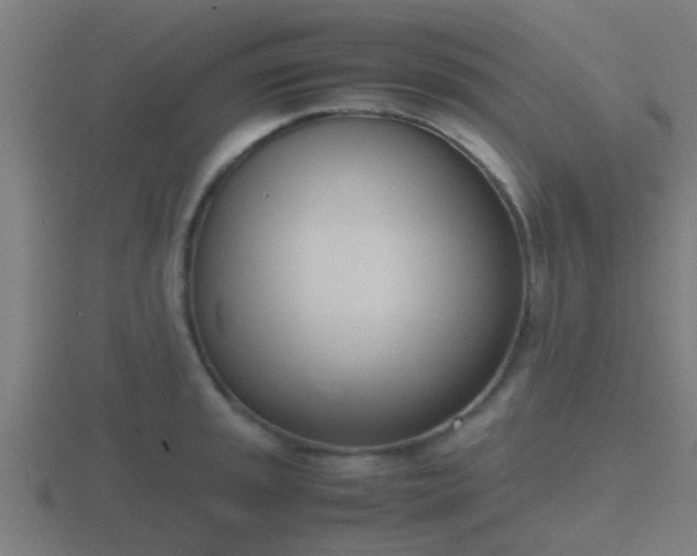 X0000116841045200912241224