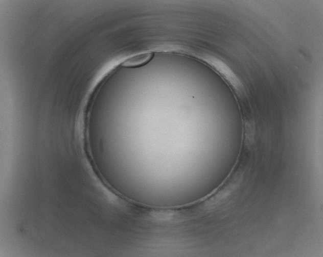 X0000116841046200912241224