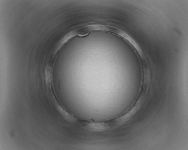 X0000116841049200912241225