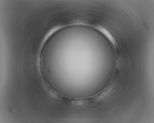 X0000116841051200912241225