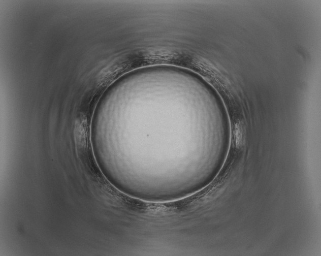 X0000116841059200912241224