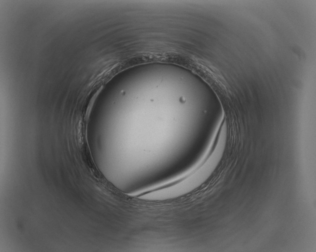 X0000116841060200912241224