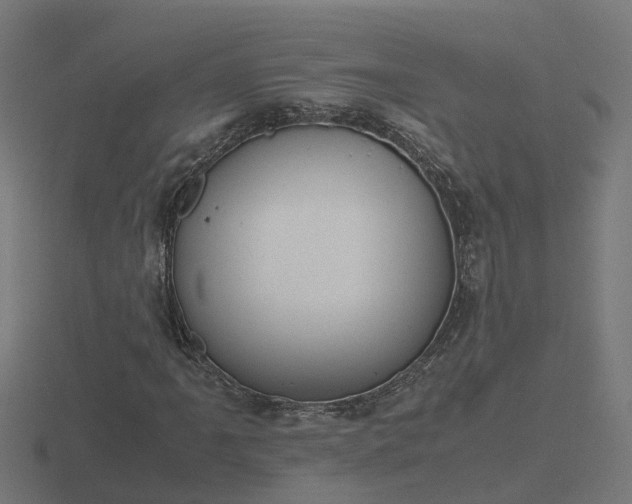 X0000116841061200912241224
