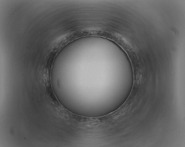 X0000116841062200912241224