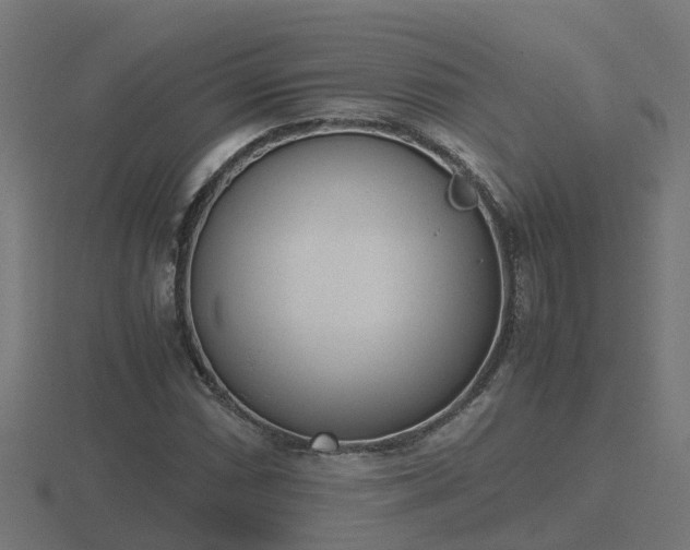 X0000116841066200912241224