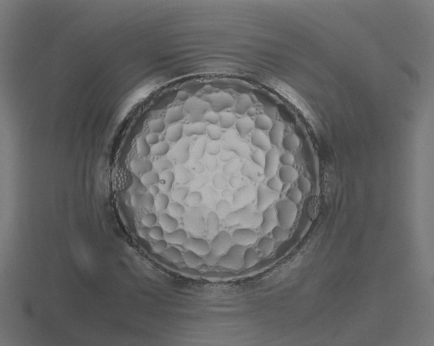 X0000116841067200912241224