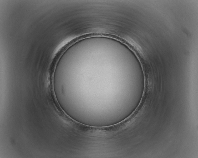 X0000116841070200912241224