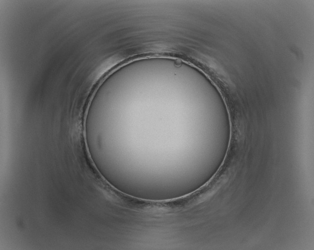X0000116841073200912241224