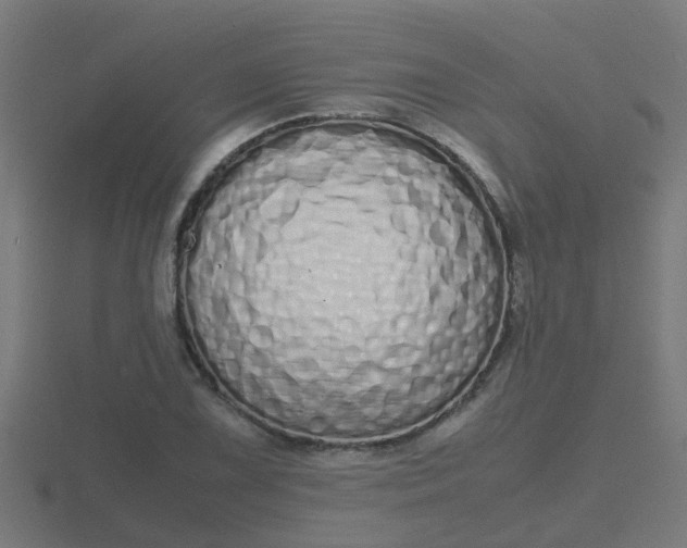 X0000116841075200912241224