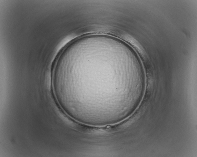 X0000116841079200912241224