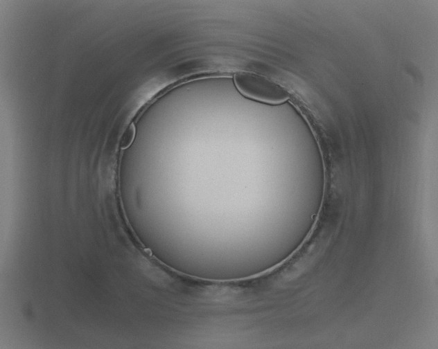 X0000116841081200912241224