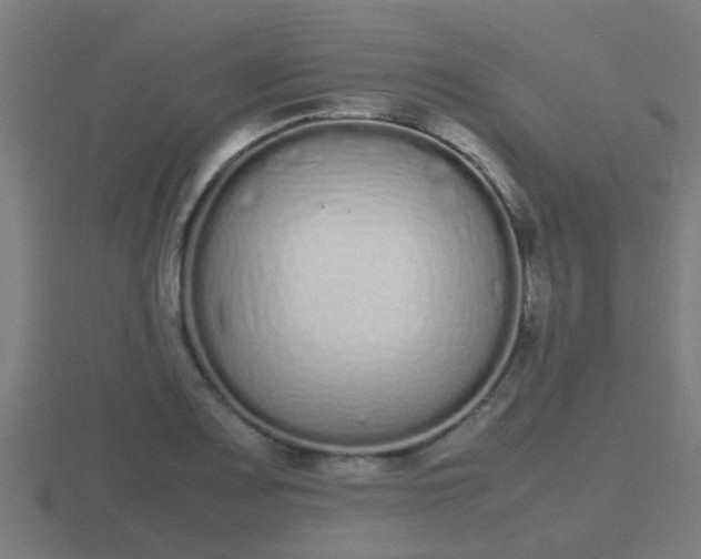 X0000116841083200912241224