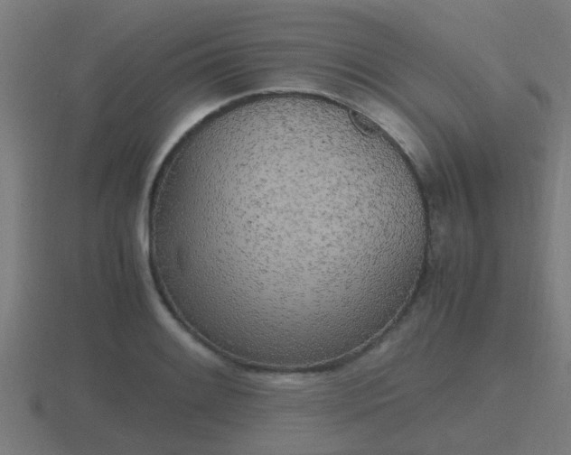 X0000116841084200912241224