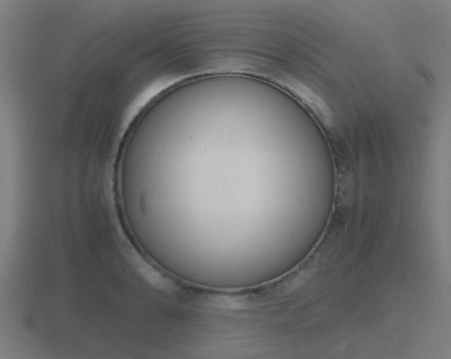 X0000116841086200912241224