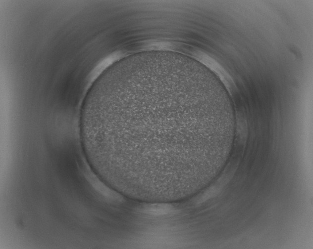 X0000116841090200912241224