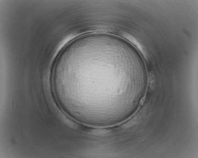 X0000116841091200912241224