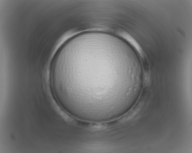 X0000116841099200912241223