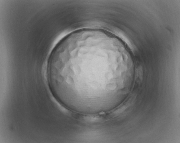X0000116841103200912241223