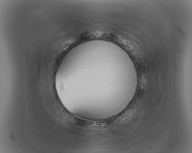 X0000116841105200912241222