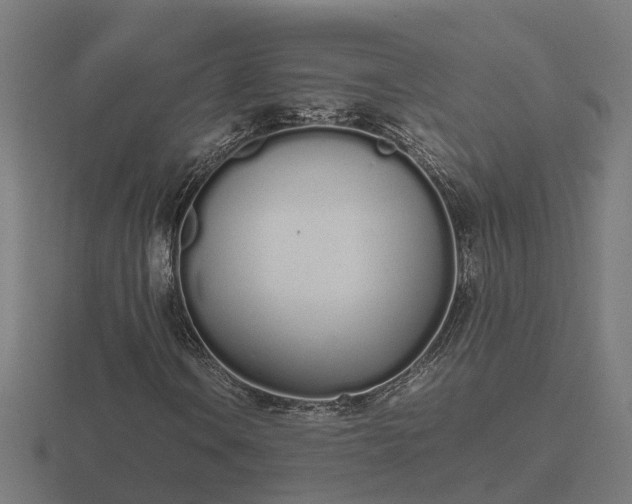 X0000116841106200912241222